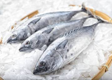 Por qué debes mirar las agallas del bonito del norte antes de comprarlo