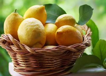 Cuánto puede durar el típico limón que dejamos olvidado en la nevera