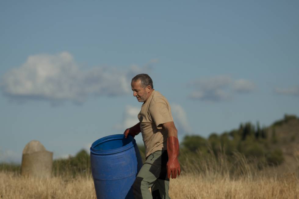 El hombre que amaba a los buitres