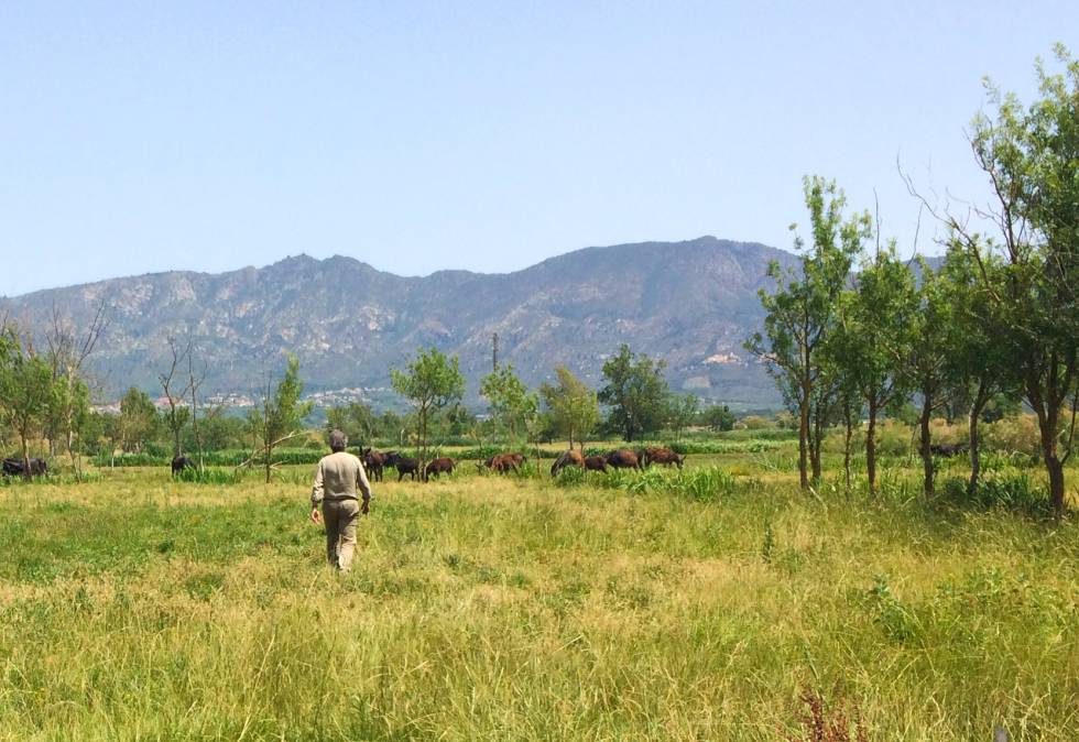 Sargatal, recorriendo parte del Parc Natural dels Aiguamolls de l'Empordà.