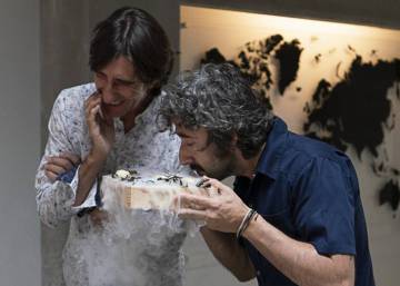 La receta de calamar que solo lleva calamar