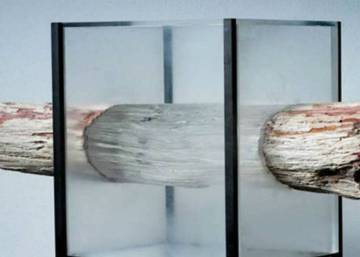 Adiós al cristal: la revolución de la madera transparente de un científico sueco (que vas a querer poner en tus ventanas)