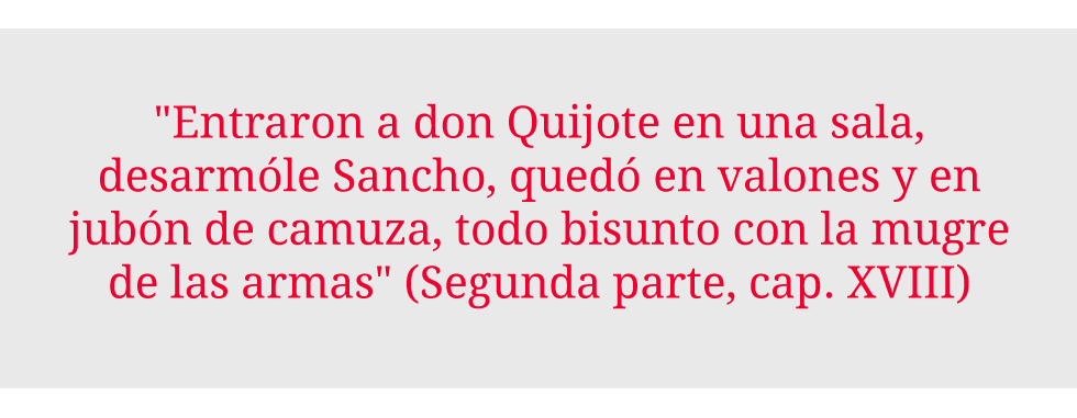 Entraron a Don Quijote