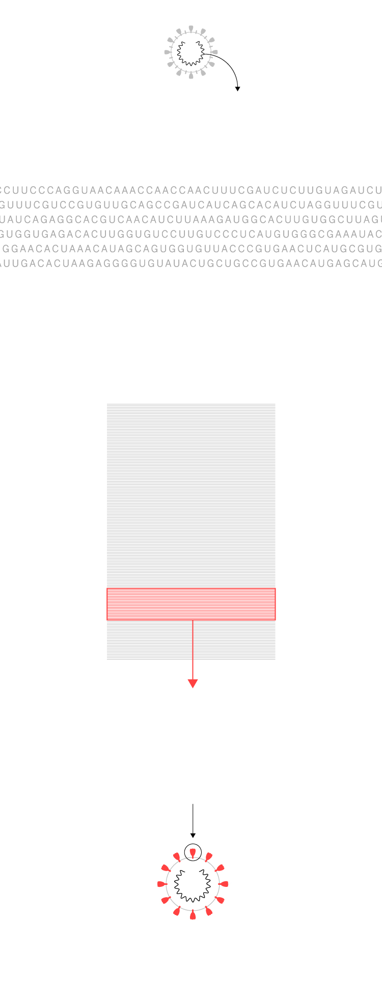 Covid 19 In Spain The Differences Between The Pfizer Moderna And Oxford Coronavirus Vaccines What We Know So Far Science Tech El Pais In English